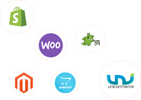 Ecommerce Channels