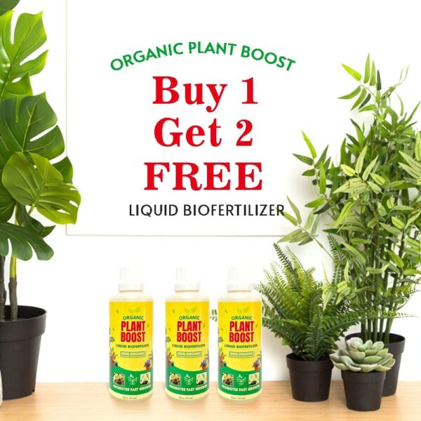 Plant Booster (Buy 1 get 2 free)